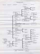 Генеалогическая схема семьи Державиных<br>Ист.: Возьми крест свой…