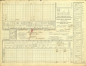 Карточка № 193 Всероссийской сельскохозяйственной и поземельной переписи 1917 года