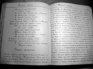 Одна из статей журнала. Фото Елены Игоревны Державиной. <br>Ист.: Священник, ученый, поэт: отец Александр Державин ...С. 207