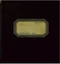 Дневник Сергея Добромыслова, старшего сына священника Михаила и матушки Марии Добромысловых. 1896–1916